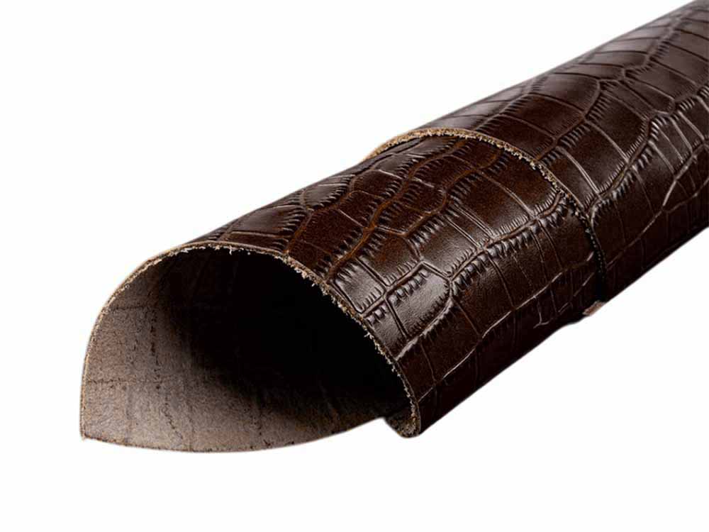 pelle coccodrillo